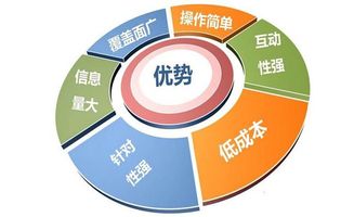 鄭州網絡推廣與互聯網信息服務的優勢分析
